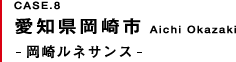 愛知県岡崎市 岡崎ルネサンス