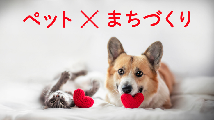 懸賞当選品 ccレモン カシオ 腕時計(広告景気年表 - Knowledge 懸賞当選品 ccレモン カシオ 腕時計(広告景気年表 - Knowledge