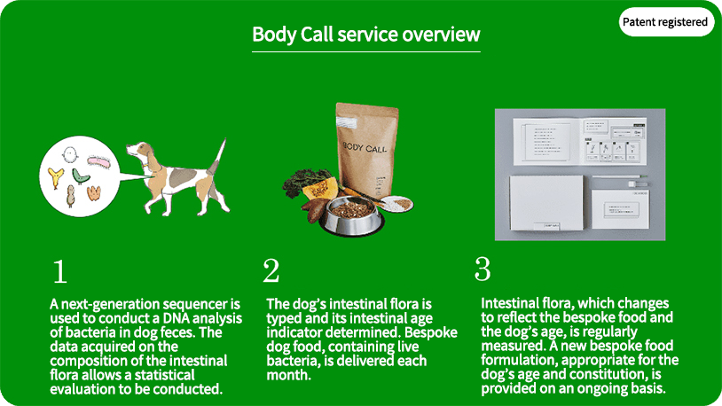 Body Call service overview