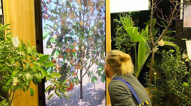 Various fruit and vegetables appeared growing on a tree when people held a tobacco stem up to the display.