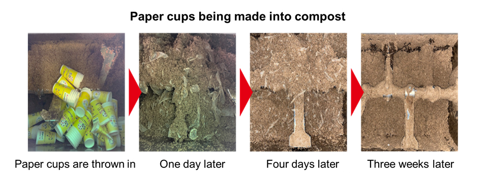 Paper cups being made into compost