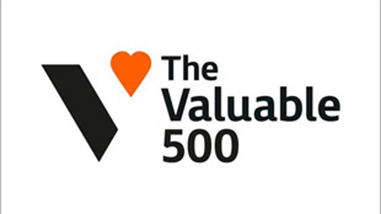 The Valuable 500