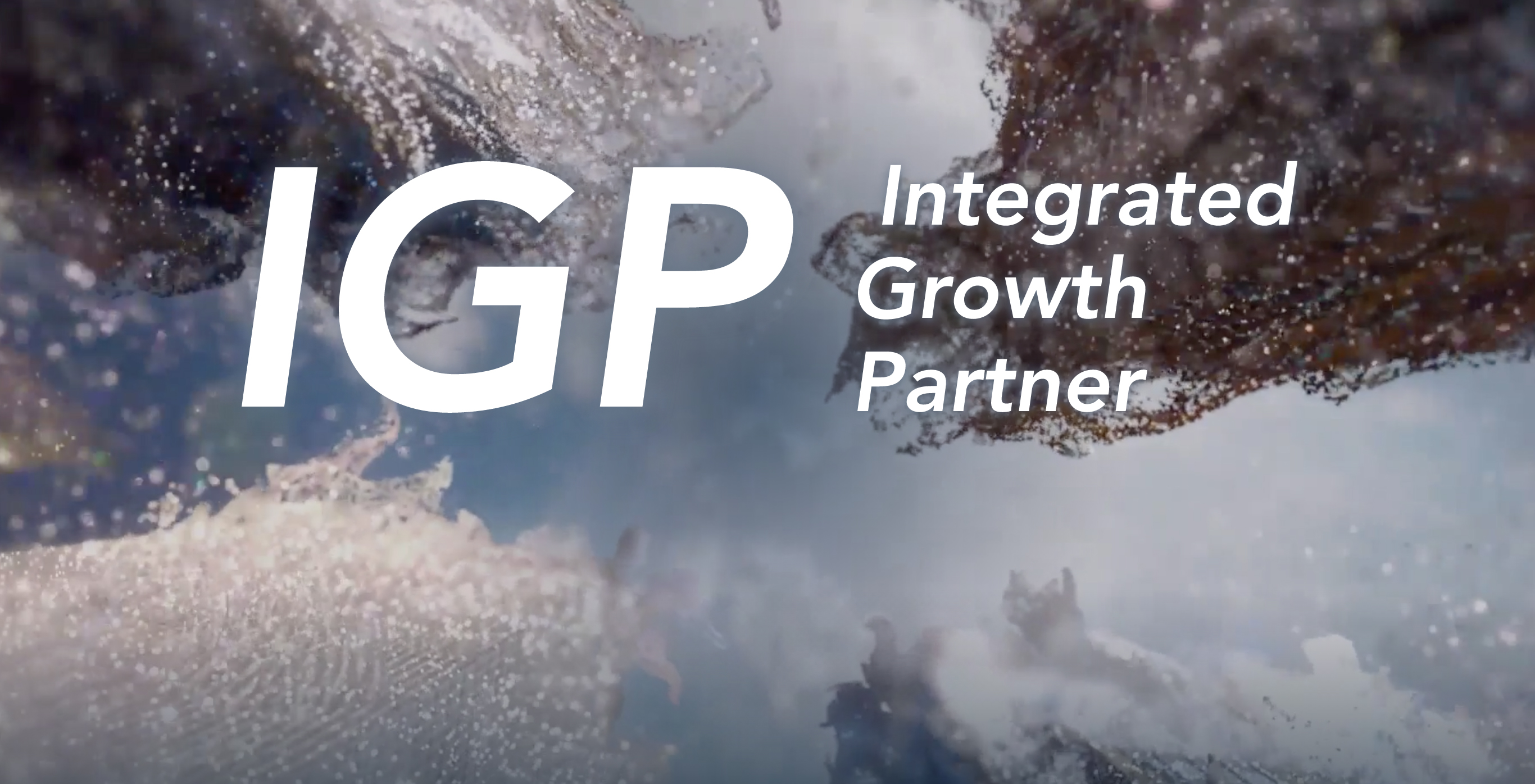 Integrated Growth Partner