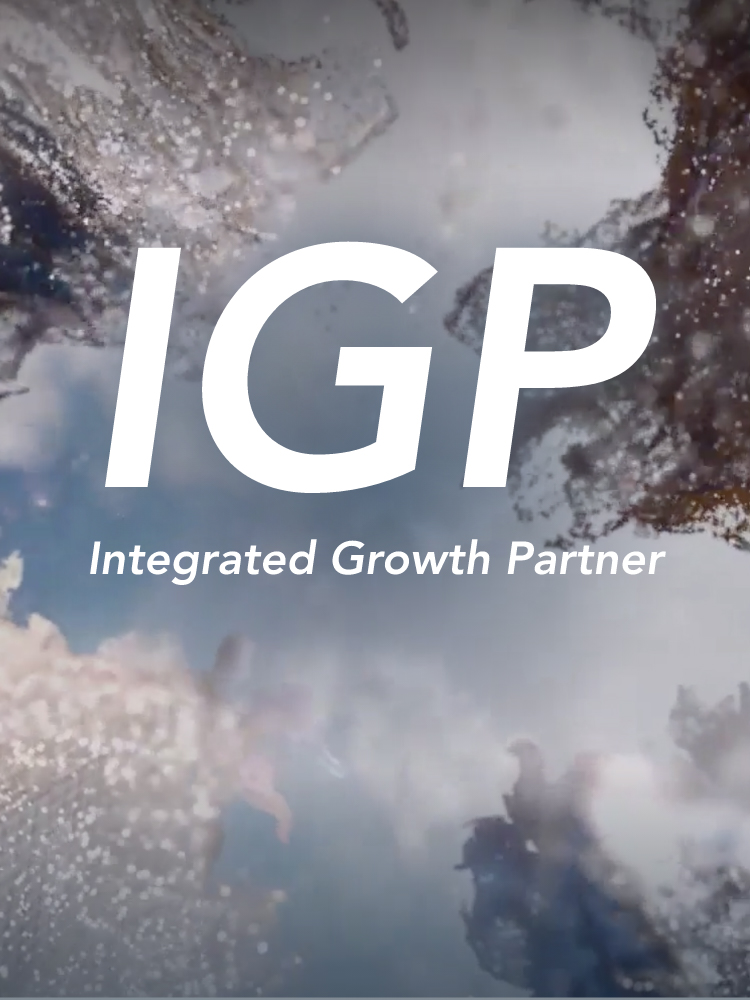 Integrated Growth Partner